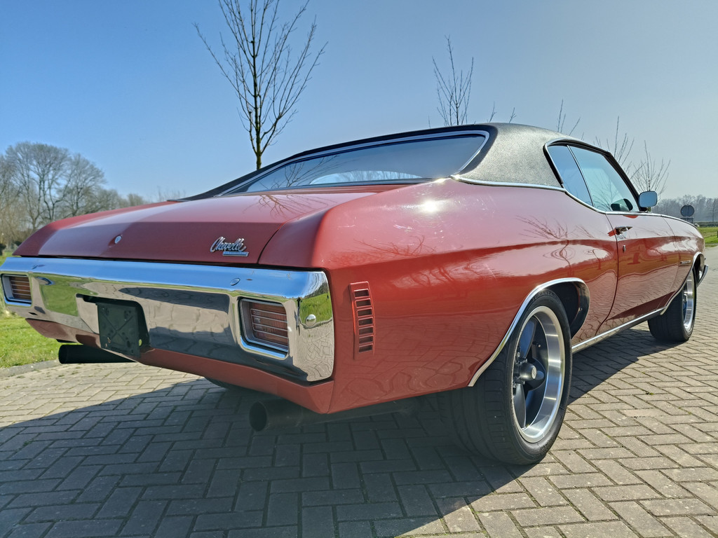 43667626-10.jpg