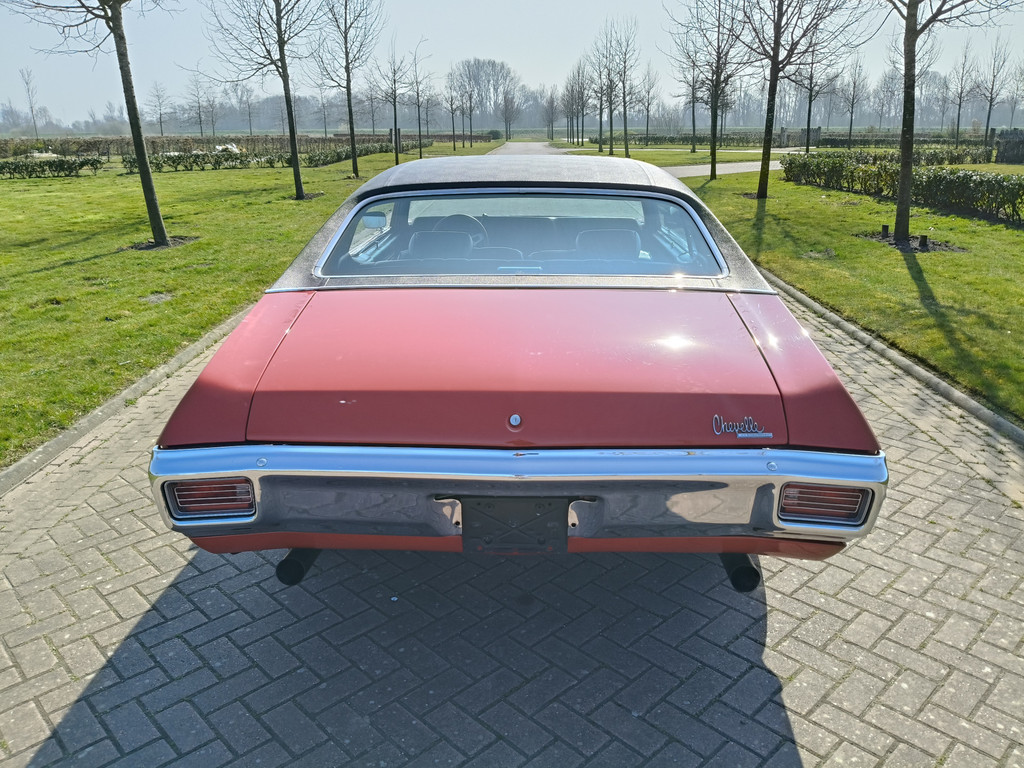 43667626-11.jpg