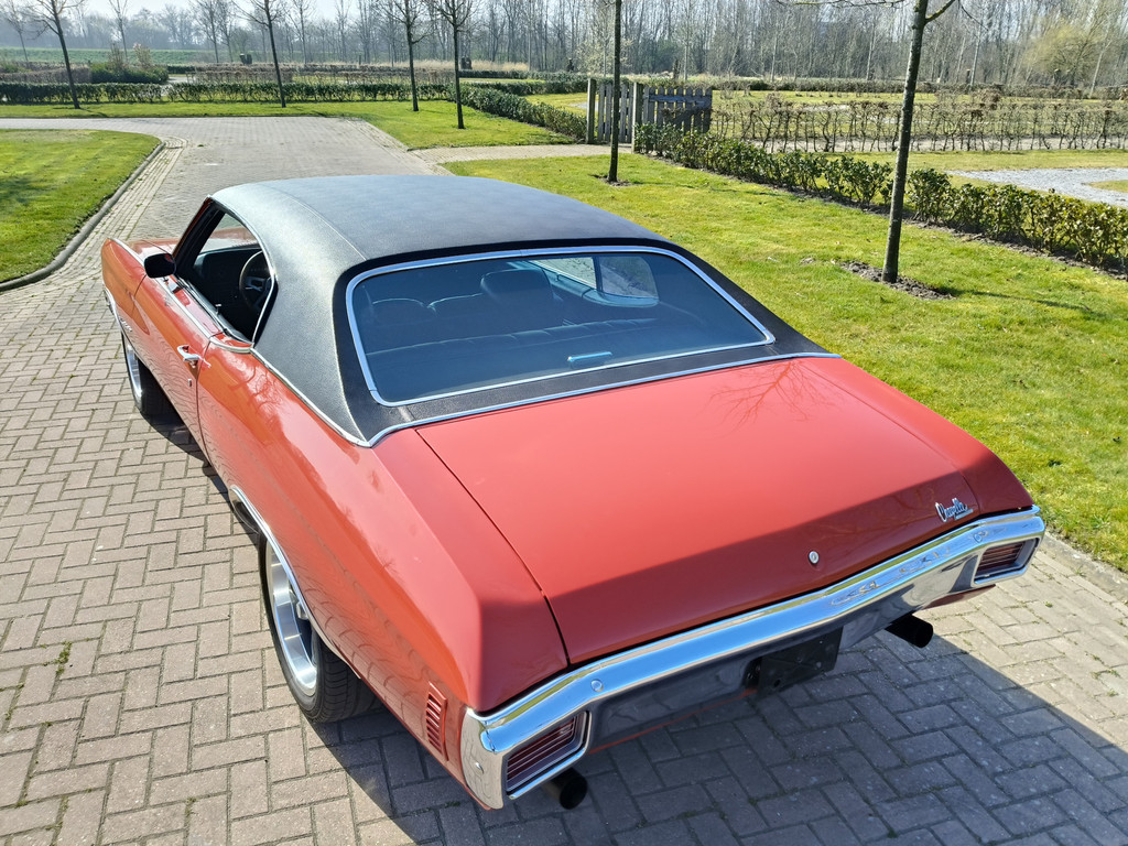 43667626-21.jpg