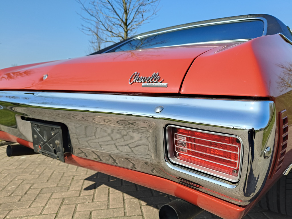 43667626-34.jpg