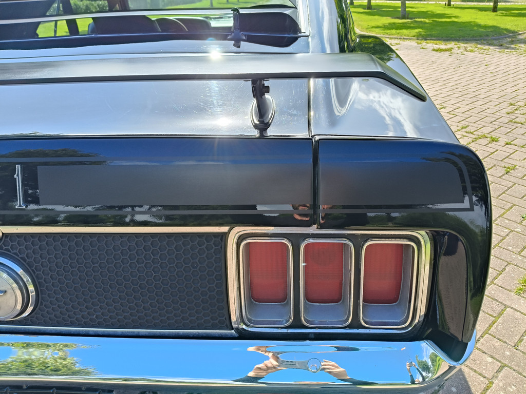 46579116-10.jpg