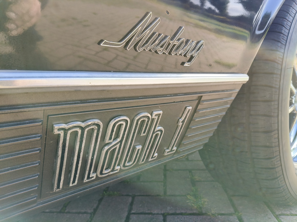 46579116-15.jpg