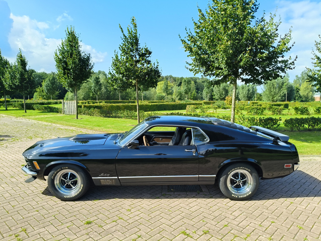 46579116-3.jpg