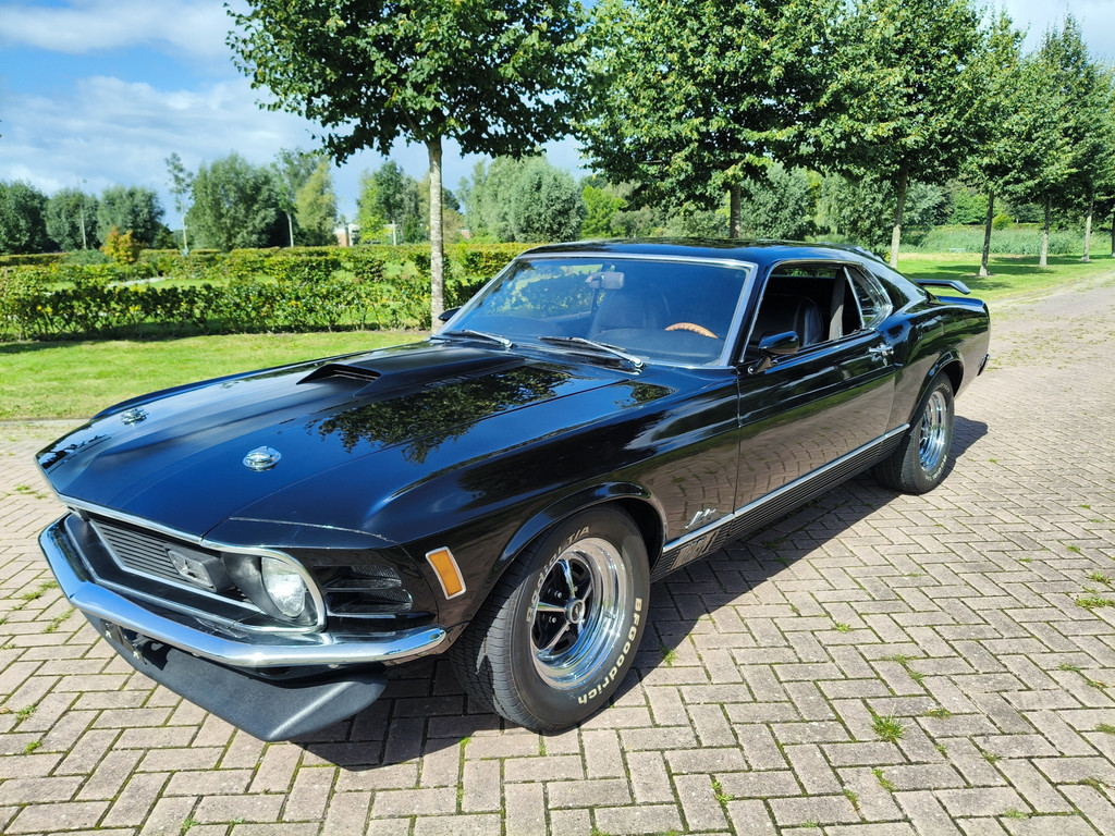 46579116-4.jpg
