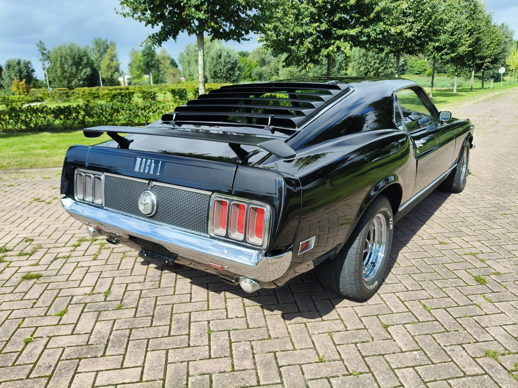 46579116-56.jpg