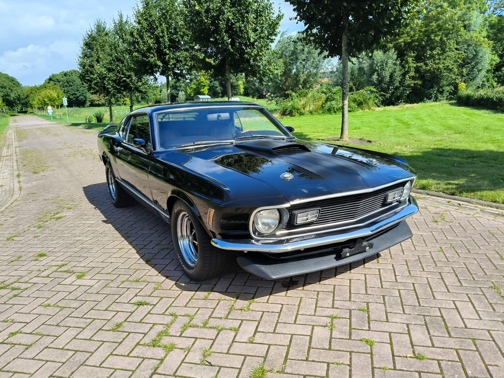 46579116-6.jpg