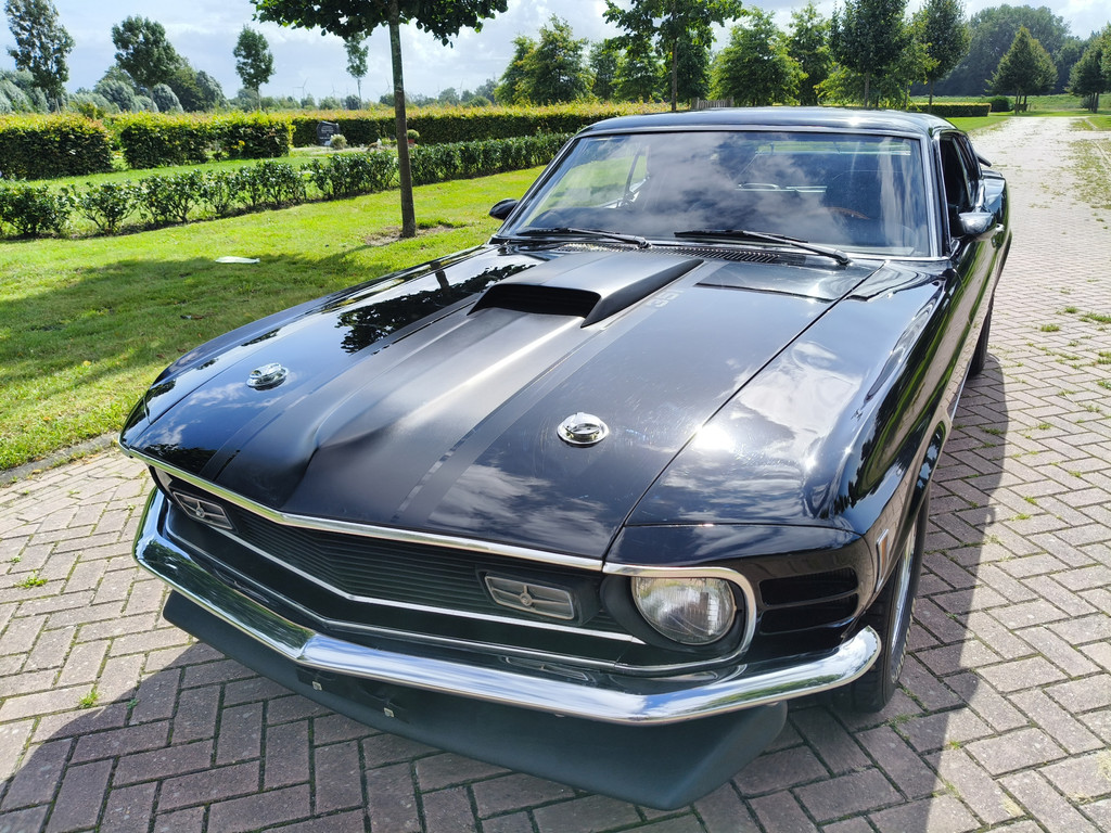46579116-65.jpg
