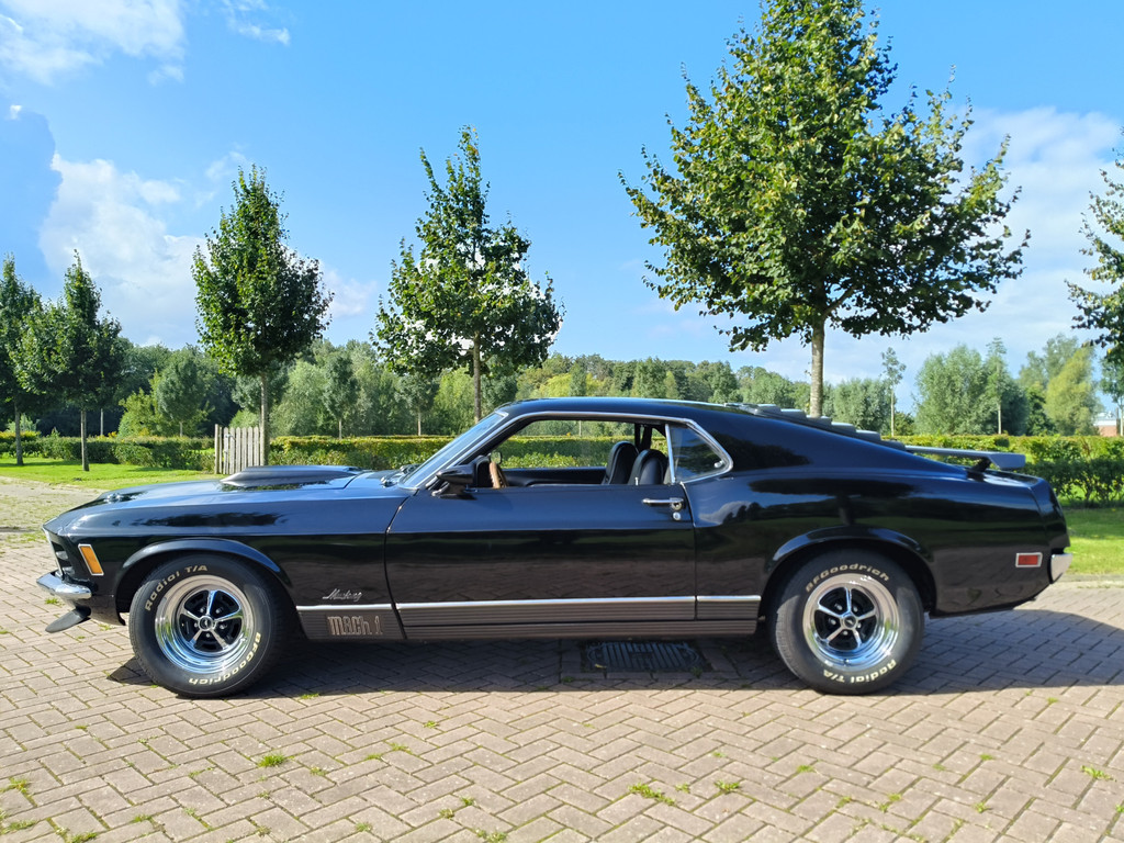 46579116-9.jpg