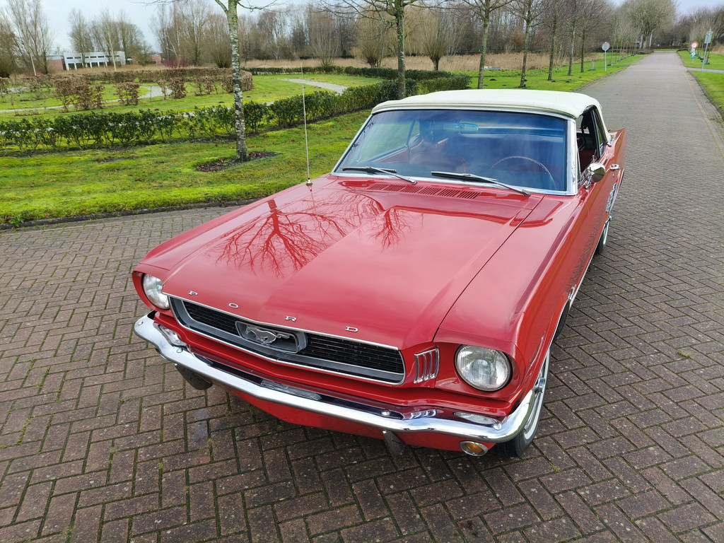 50097968-1.jpg
