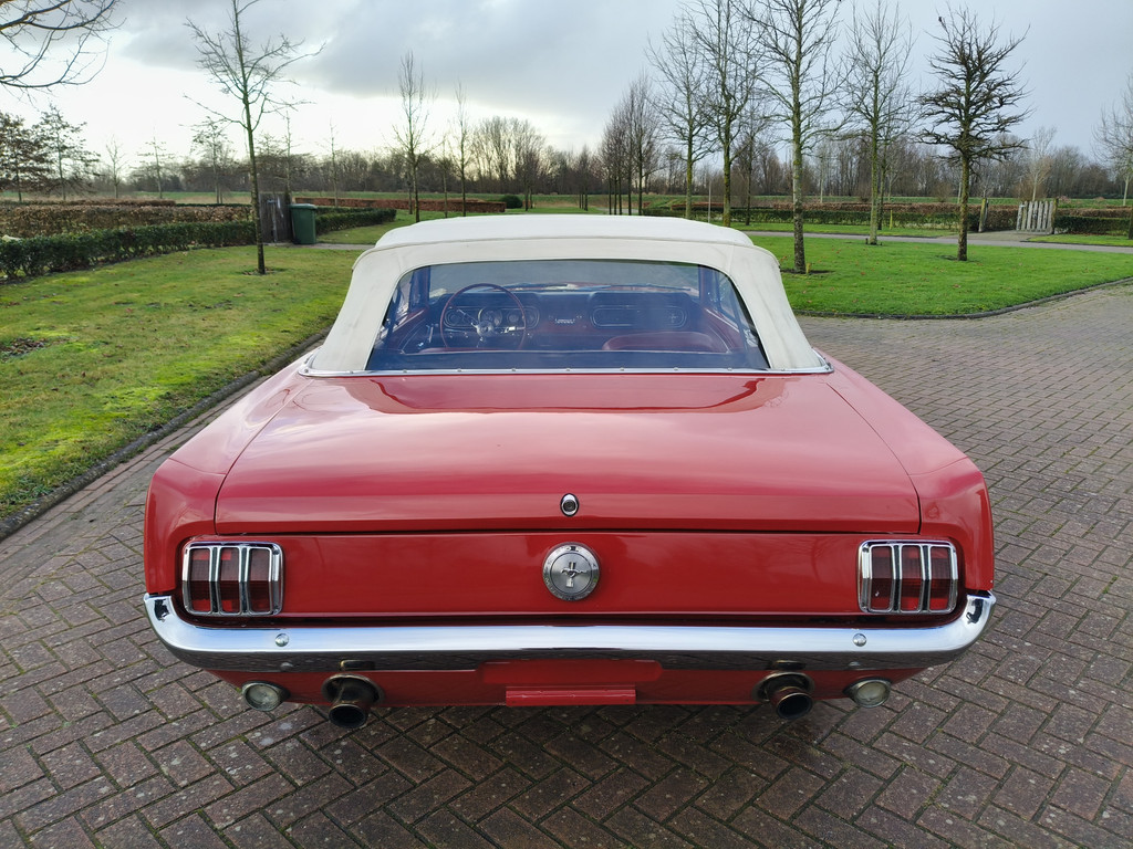 50097968-12.jpg