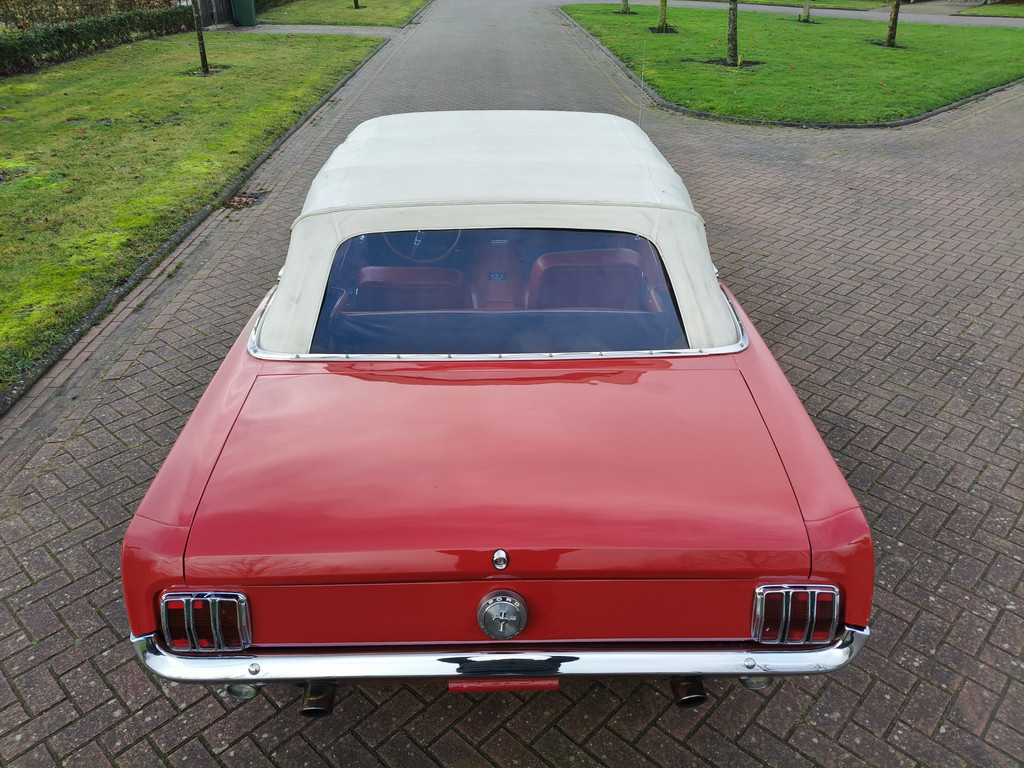 50097968-13.jpg