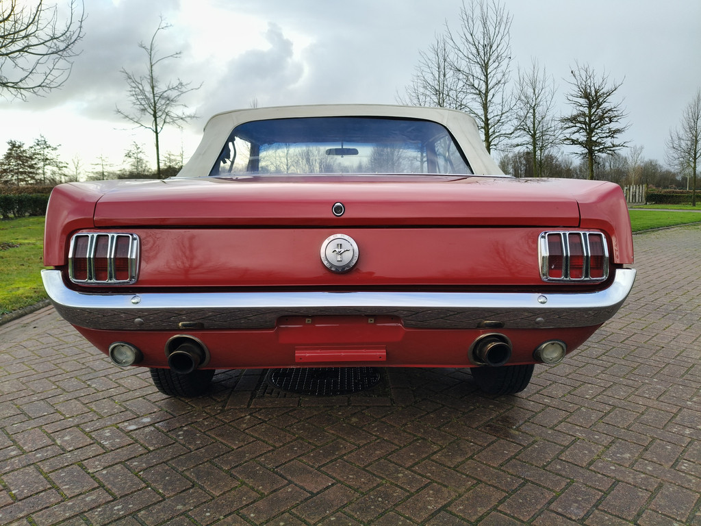 50097968-14.jpg