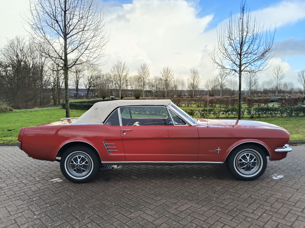 50097968-17.jpg