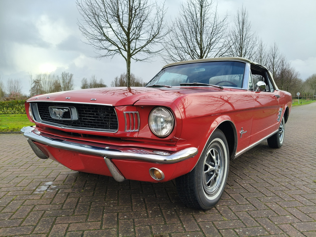 50097968-2.jpg