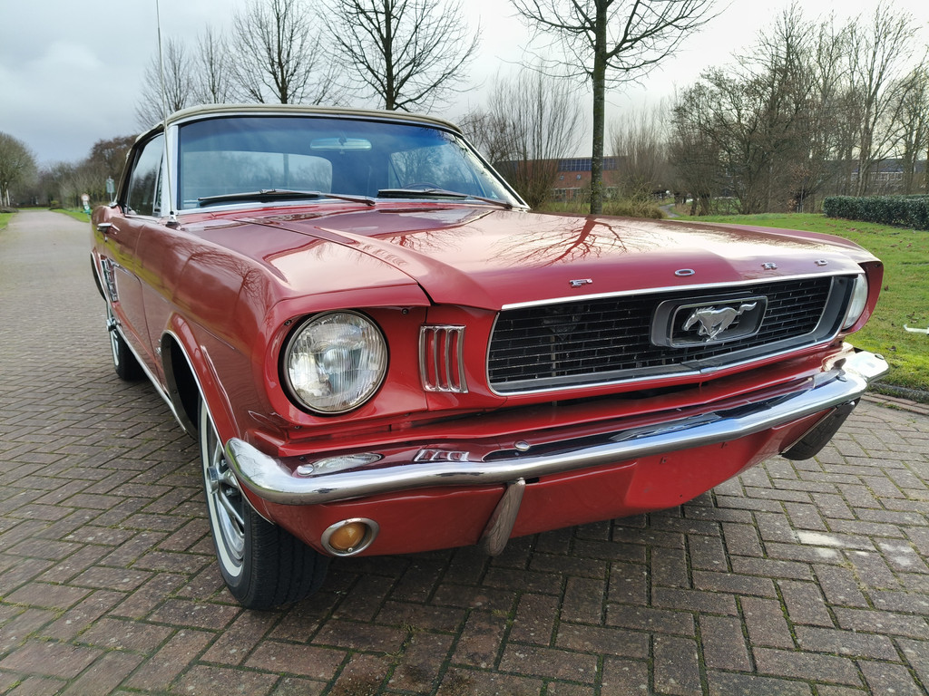 50097968-20.jpg