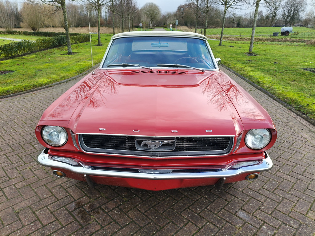 50097968-21.jpg