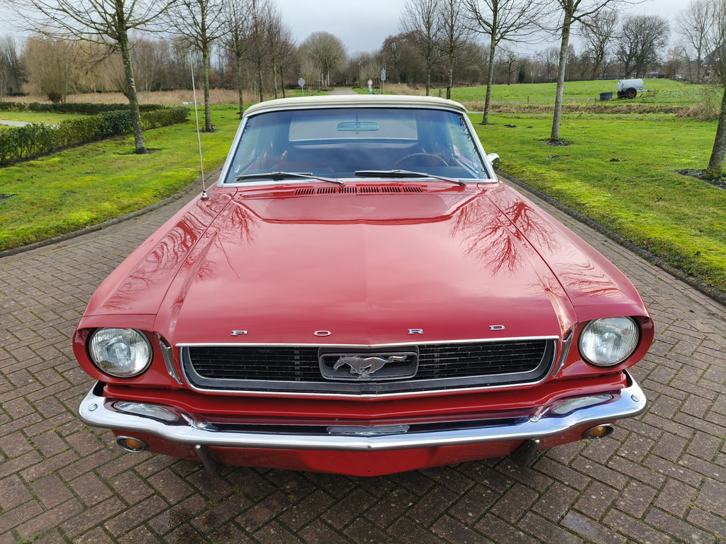 50097968-23.jpg