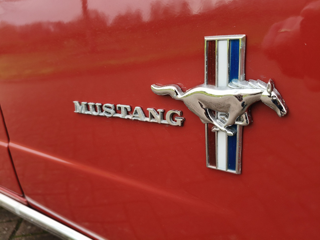 50097968-26.jpg