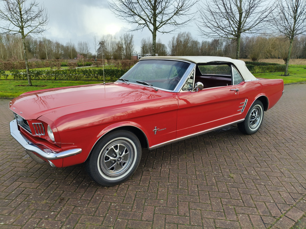 50097968-4.jpg
