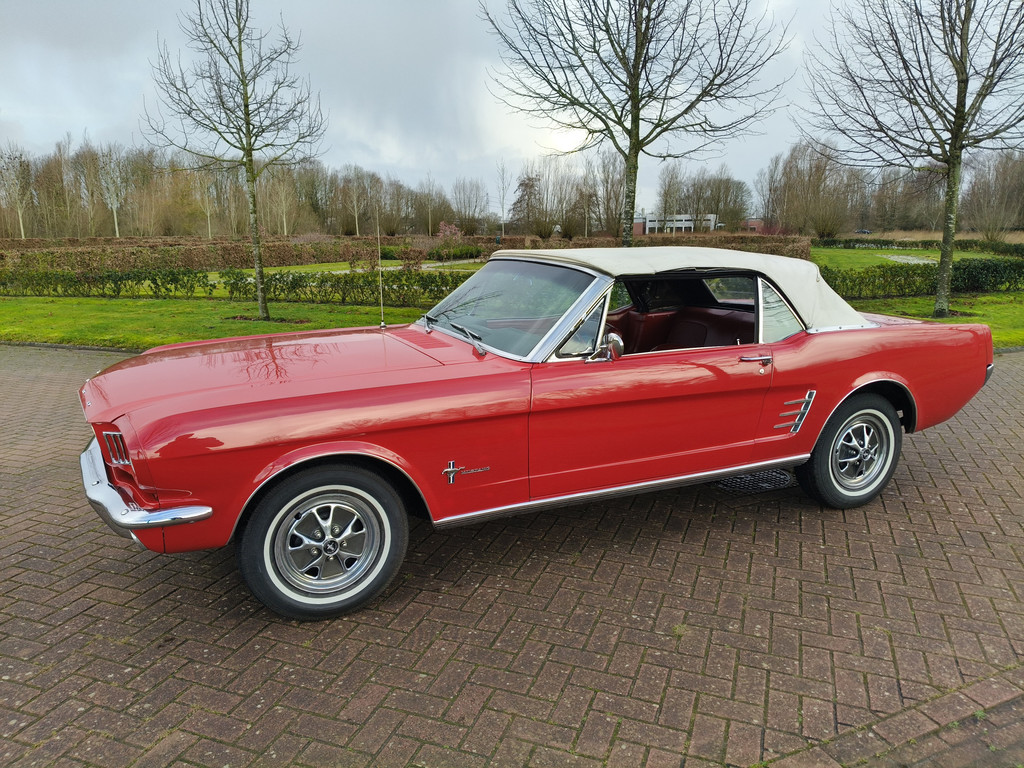 50097968-5.jpg