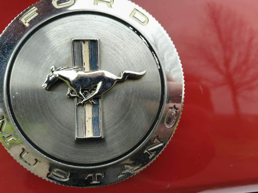 50097968-55.jpg