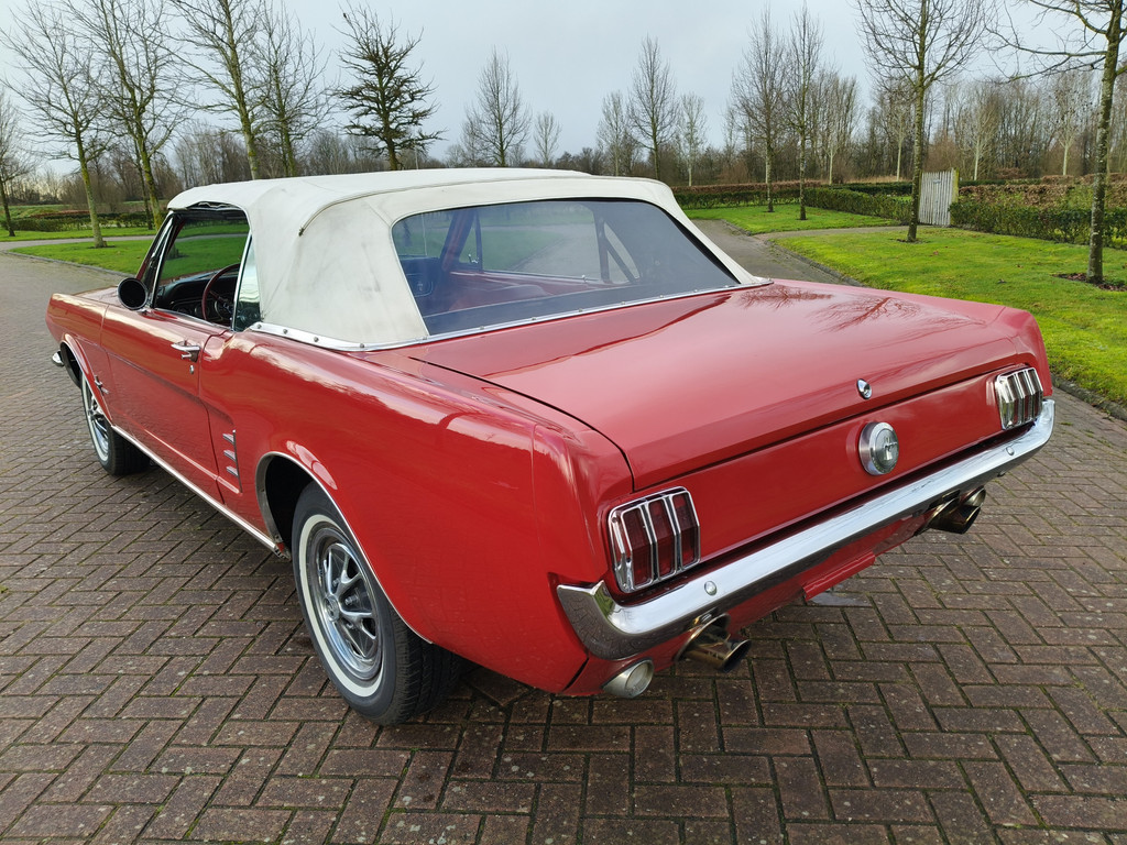 50097968-7.jpg
