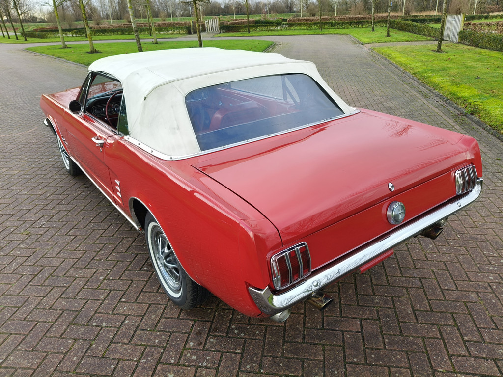 50097968-8.jpg