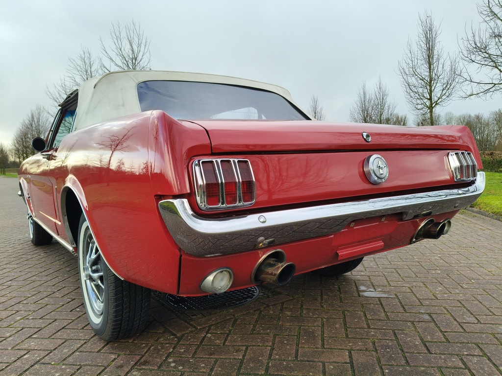 50097968-9.jpg