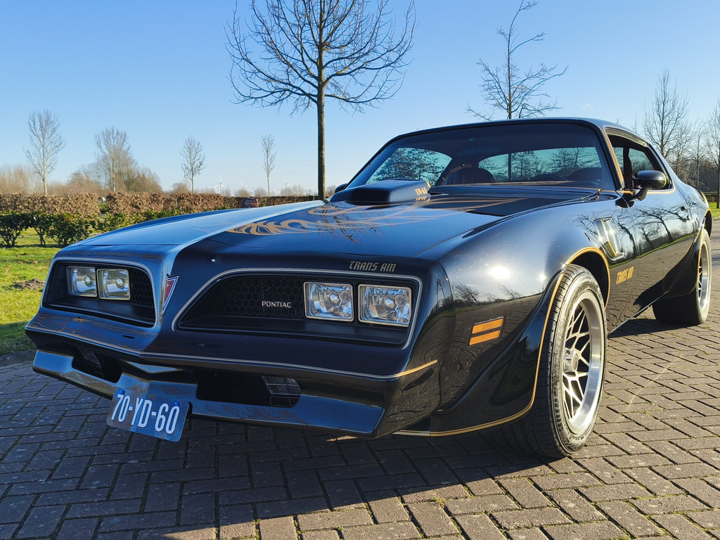 50196161