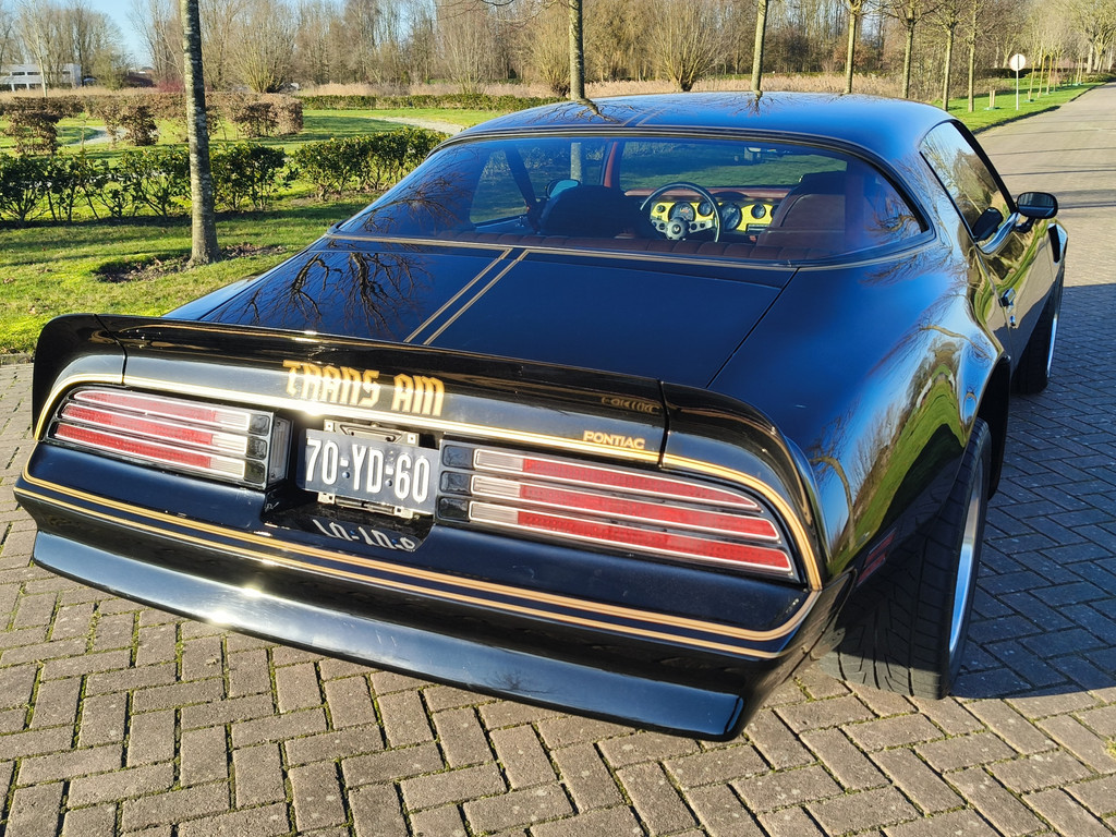 50196161-12.jpg