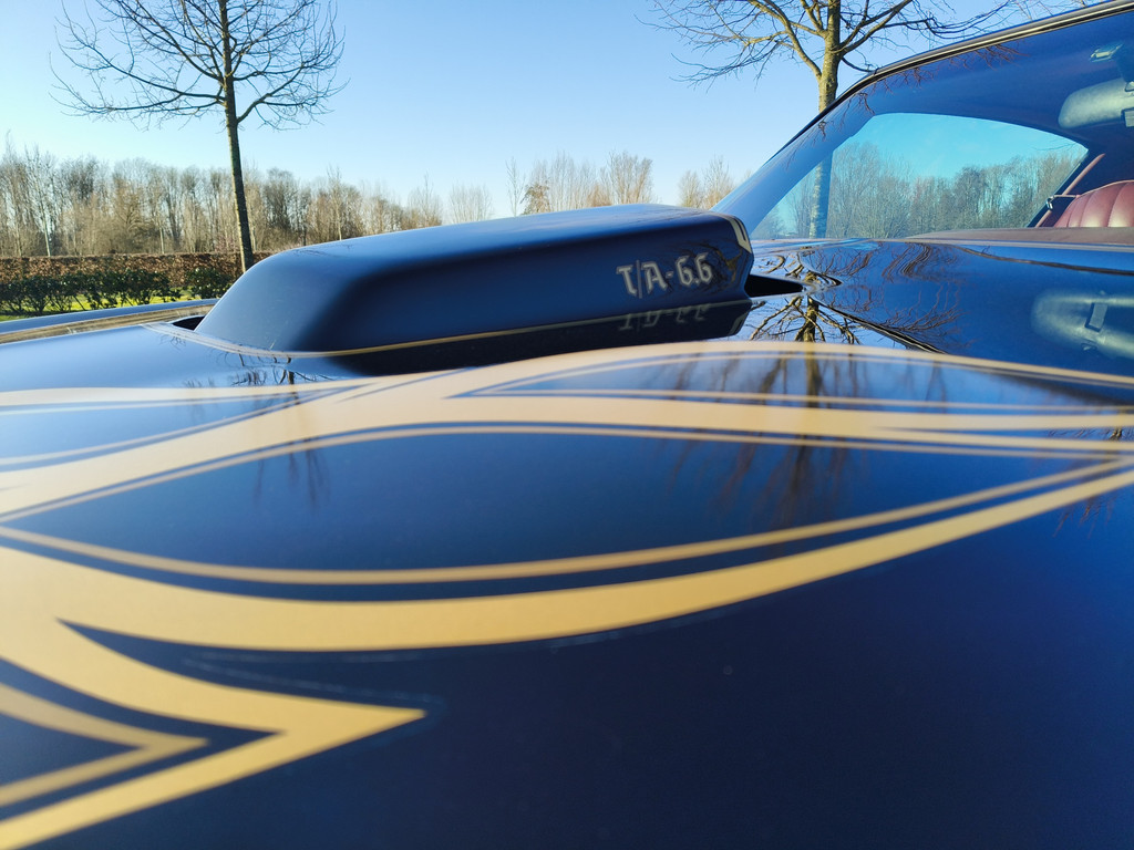 50196161-16.jpg