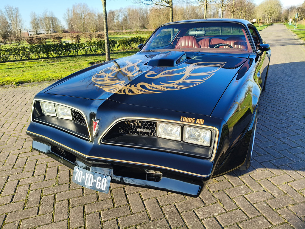 50196161-3.jpg