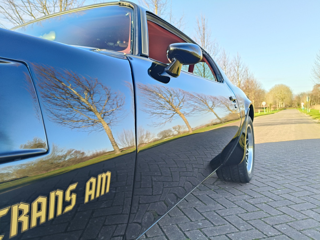 50196161-7.jpg