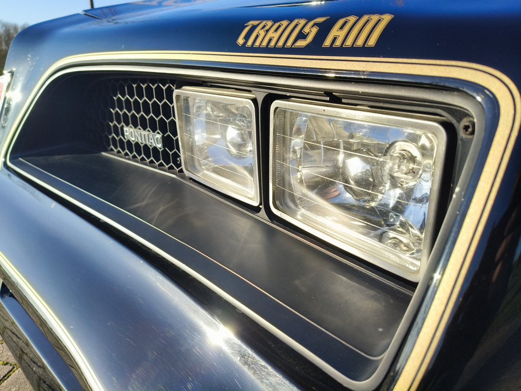 50196161-9.jpg
