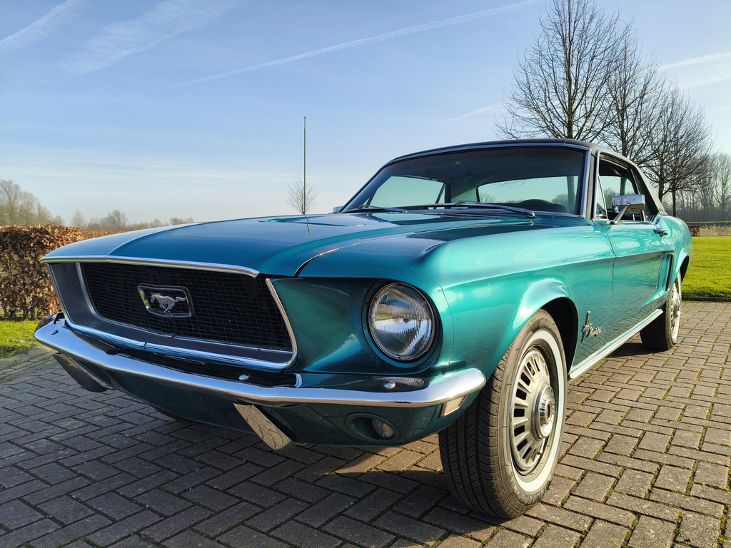 50287805