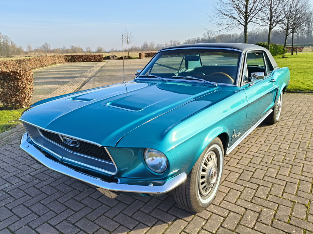 50287805-11.jpg
