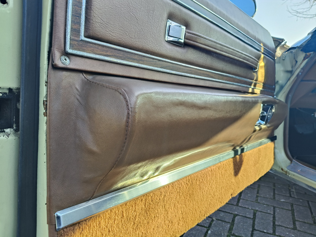 50366411-58.jpg