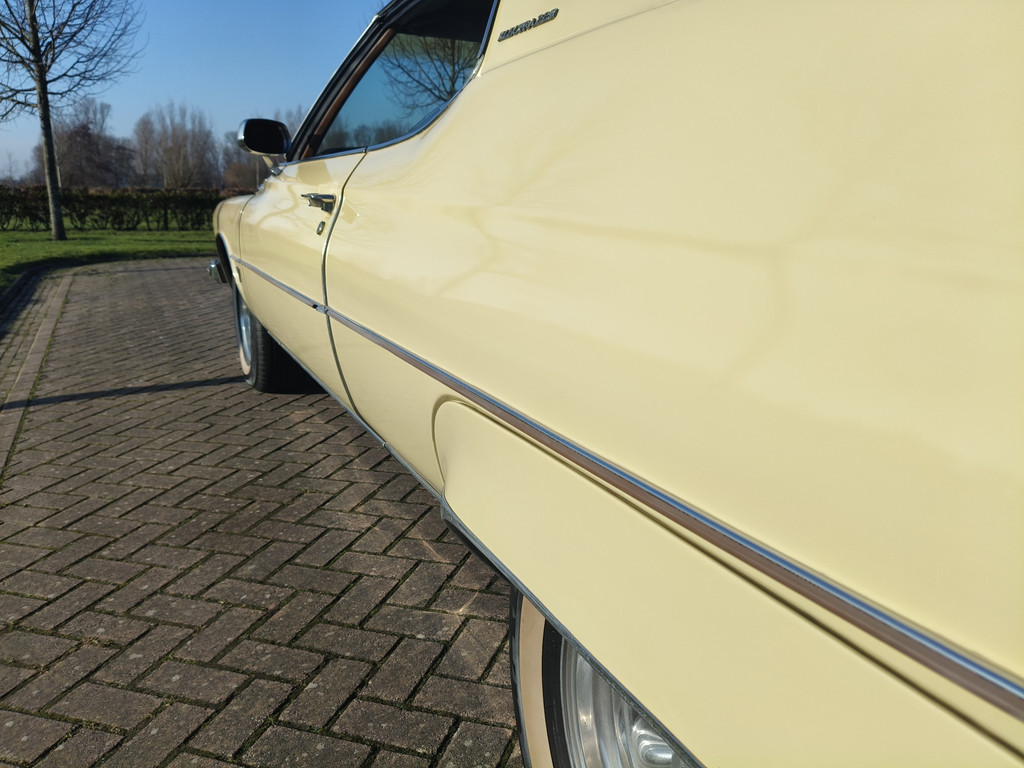 50366411-74.jpg