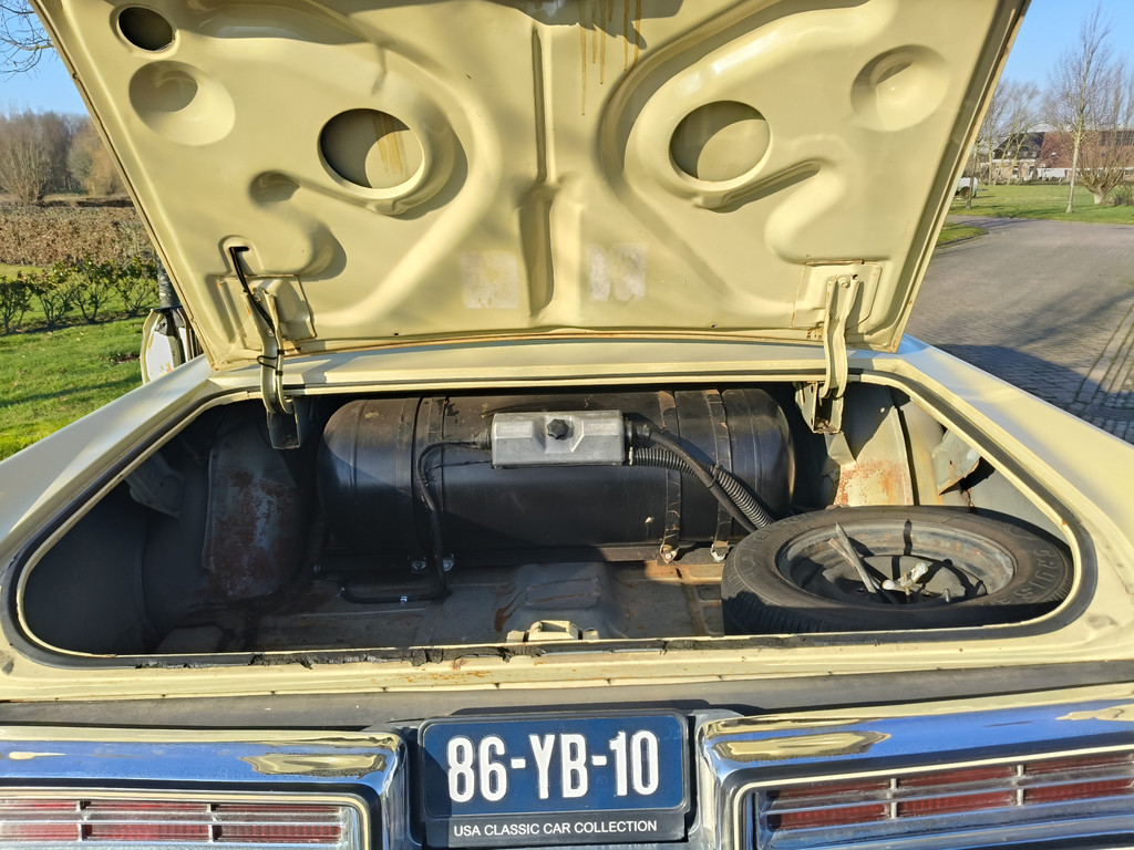 50366411-87.jpg