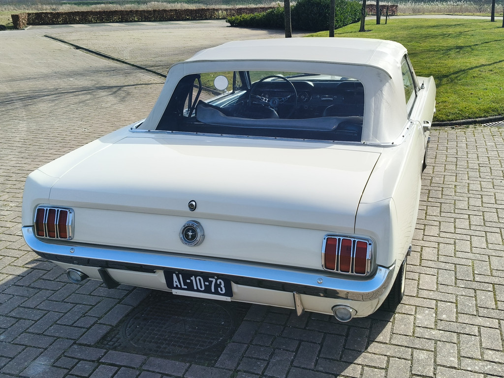 51802978-10.jpg
