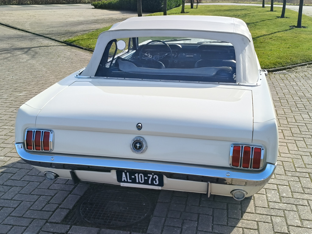51802978-11.jpg