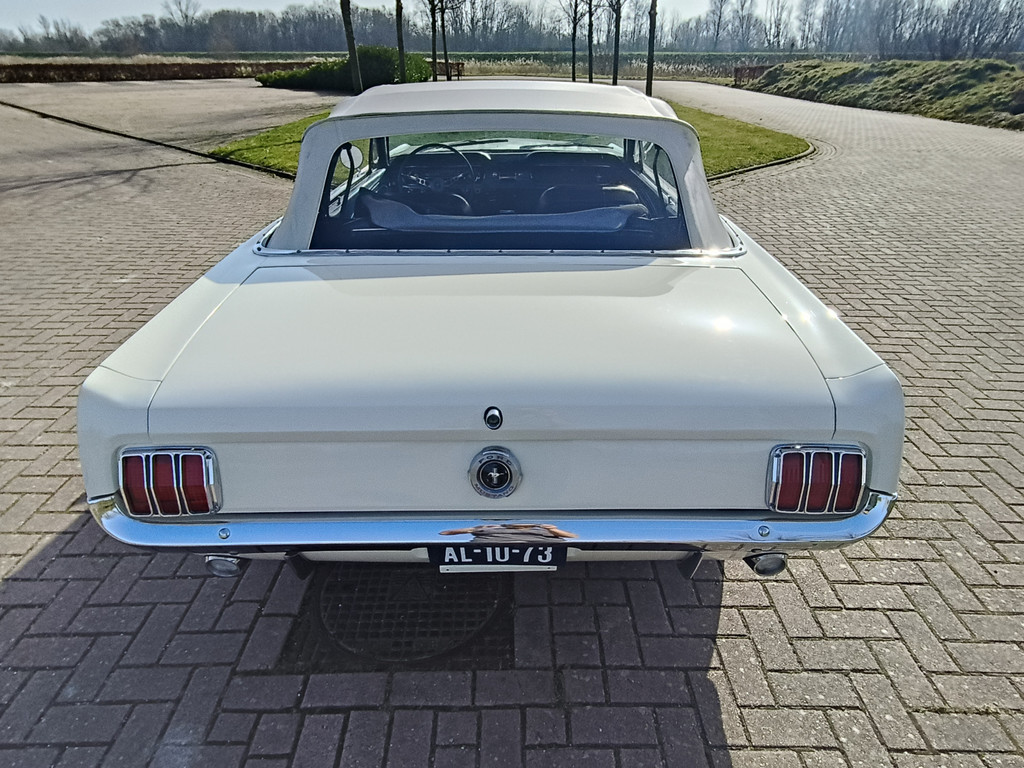 51802978-13.jpg