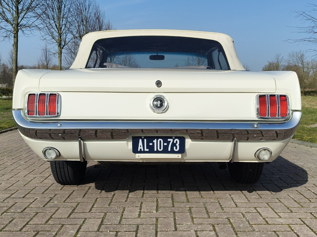 51802978-19.jpg