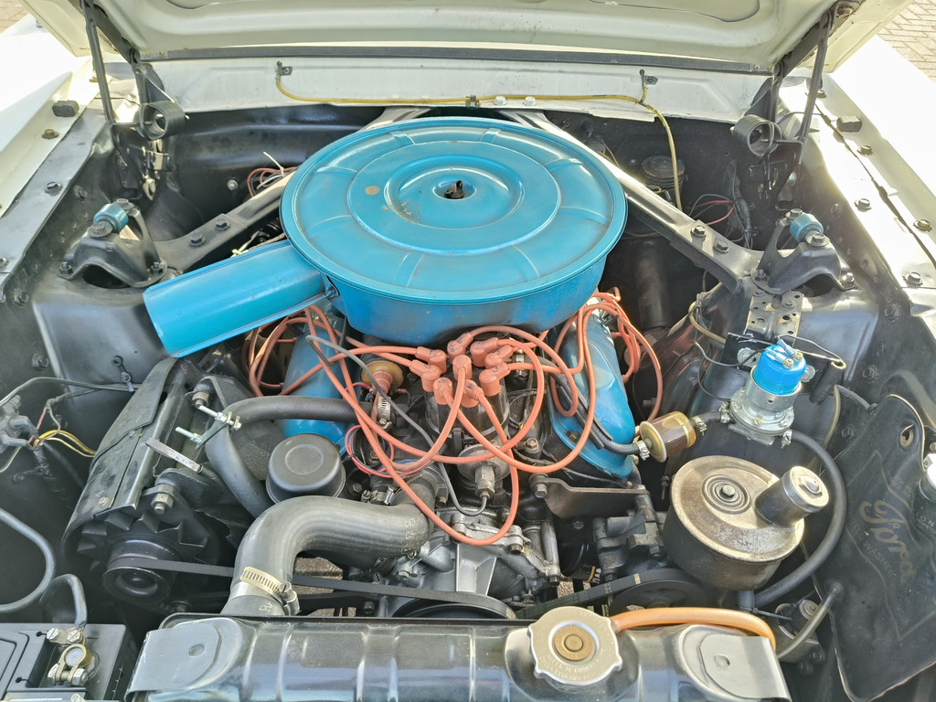 51802978-80.jpg