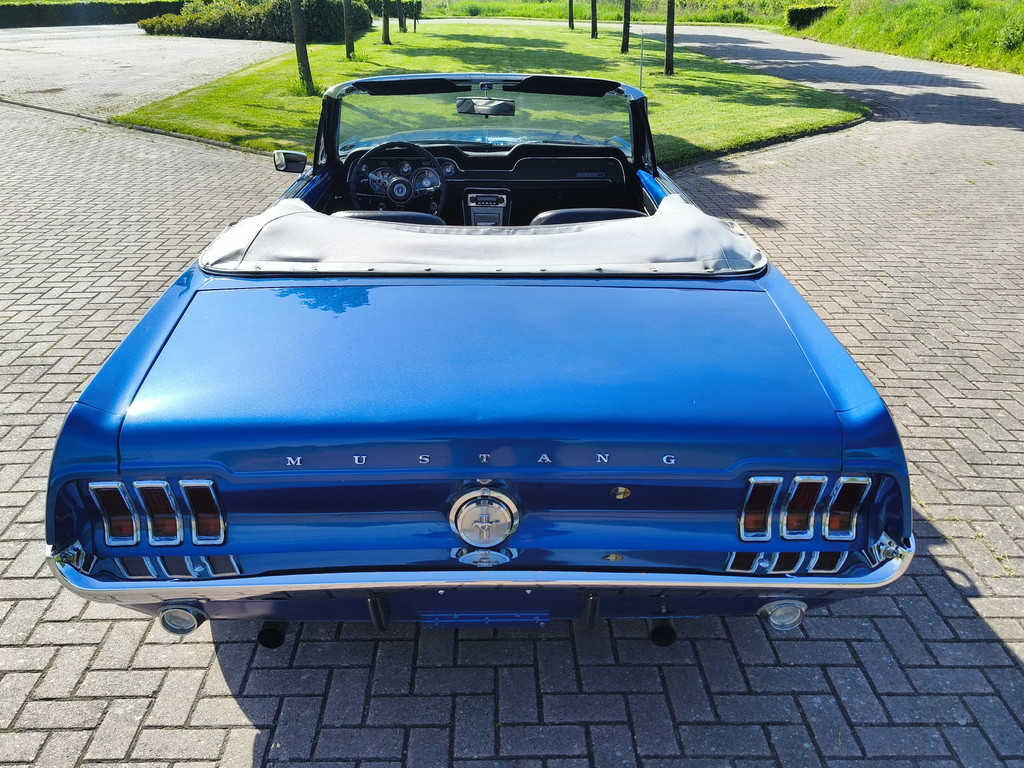 52445666-10.jpg