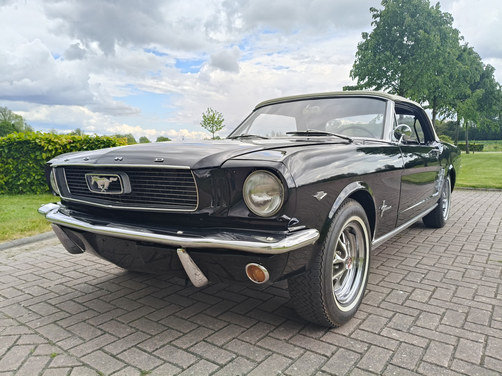 53276679