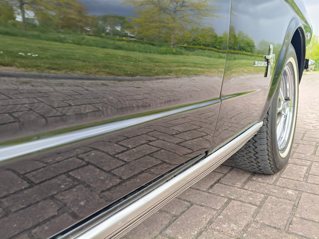 53276679-24.jpg