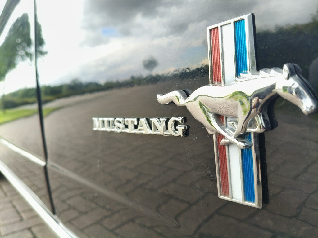 53276679-27.jpg