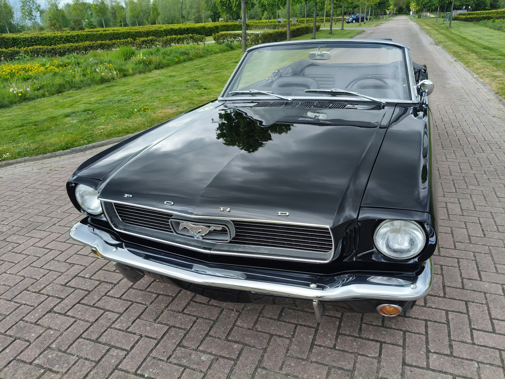 53276679-34.jpg