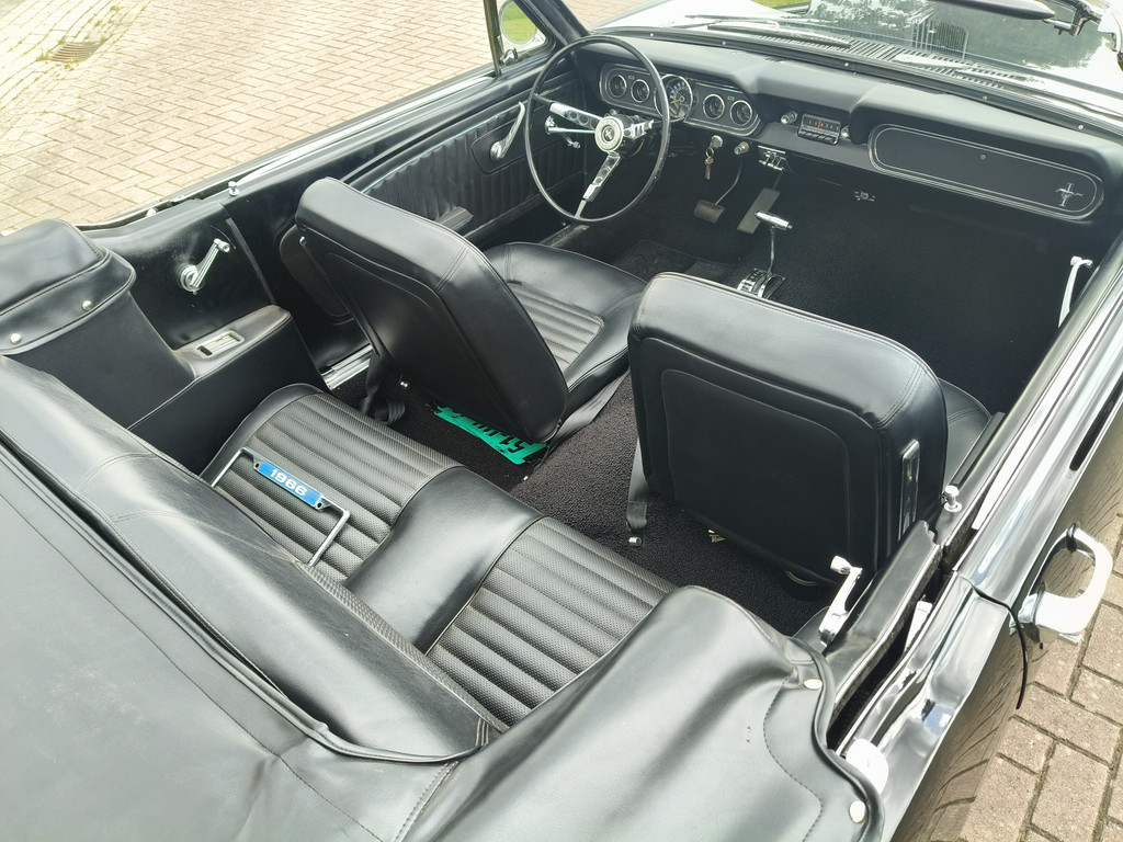 53276679-40.jpg